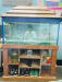Fish aquarium for sale